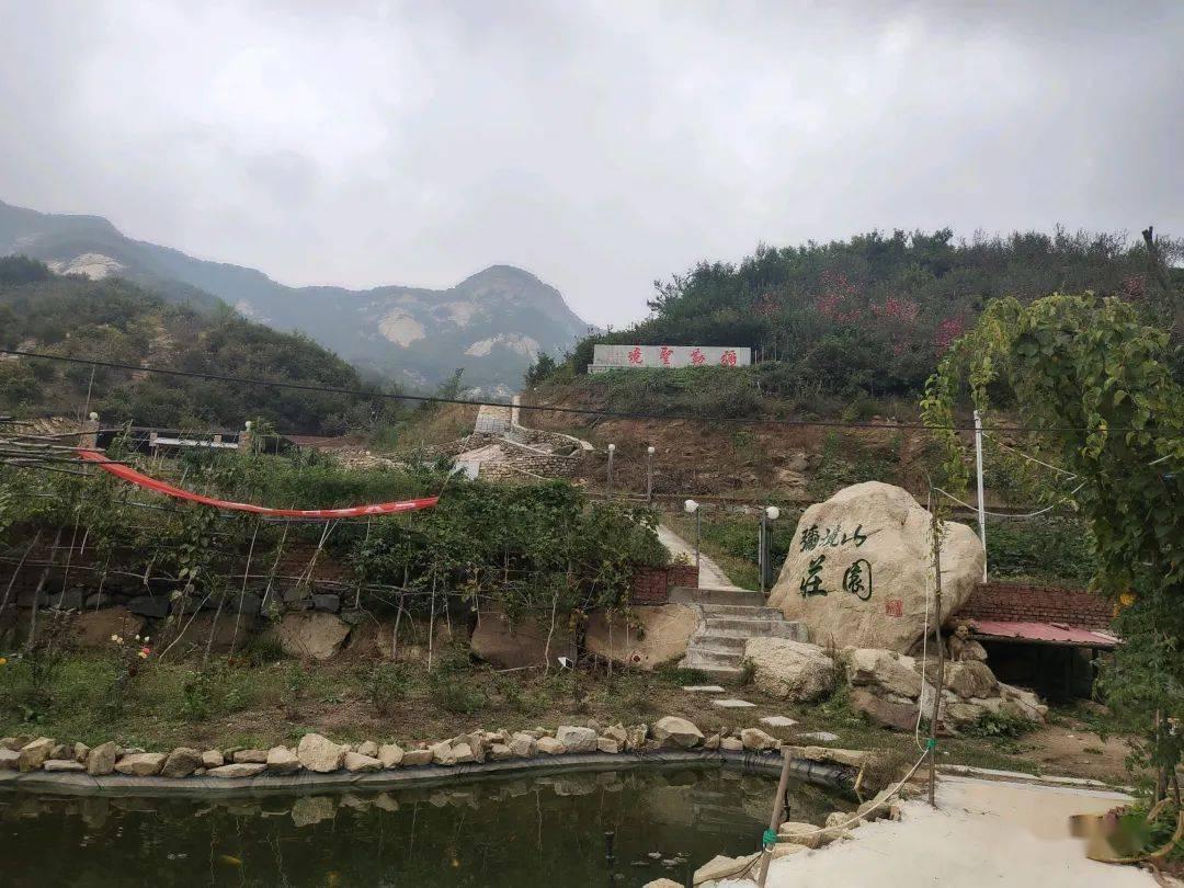 逗小猴开心系列189