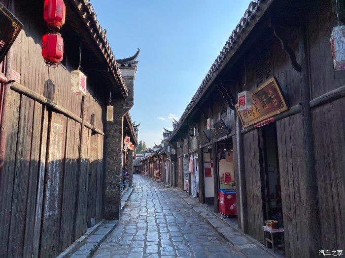 动物帮帮忙保卫家园