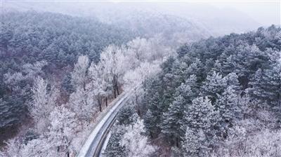 出身《开心麻花》的贾玲，走到哪里就笑到哪里吗？游戏画面